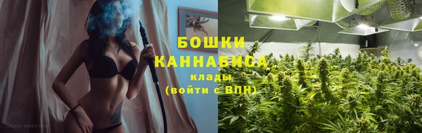 спиды Богданович